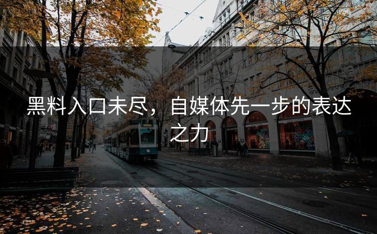 黑料入口未尽，自媒体先一步的表达之力  第1张