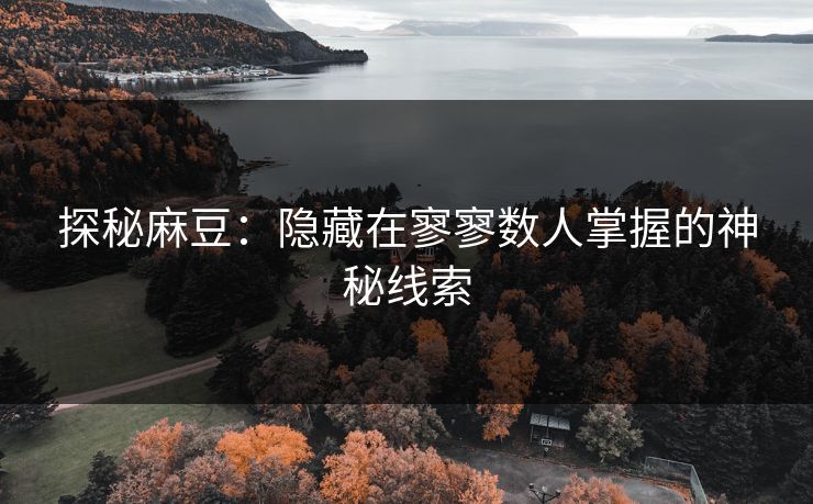 探秘麻豆：隐藏在寥寥数人掌握的神秘线索  第1张